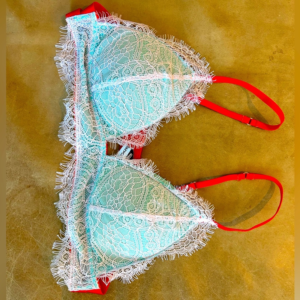 Dora Larsen Sabina lace blue red bra size Large 36 C 34